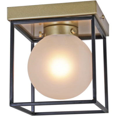 Потолочный светильник  IL0050-1C-79