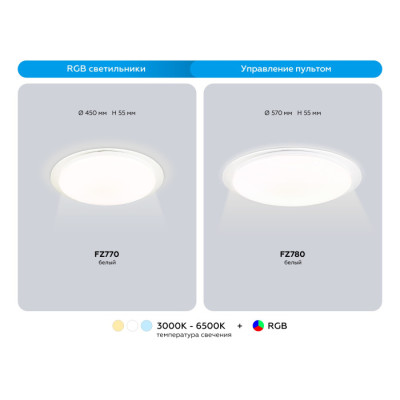 Потолочный светильник Orbital FZ780