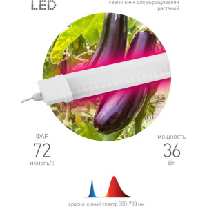 Светильник для растений  FITO-36W-RB-N