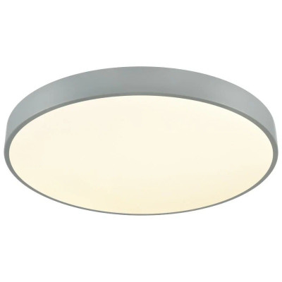 Потолочный светильник  444-247-01