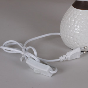 Интерьерная настольная лампа  00325-0.7-01