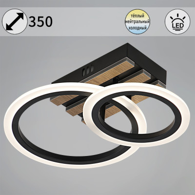 Потолочная люстра  00330-0.3-1+1