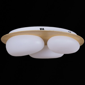 Потолочный светильник  10009-0.3-60W AEROLITE